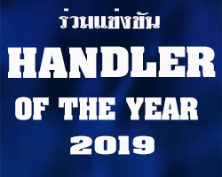 การแข่งขัน Handler of the year 2019