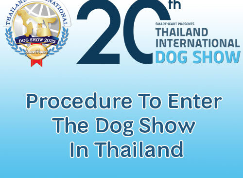Procedure To Enter The Dog In Thailand Dog Show